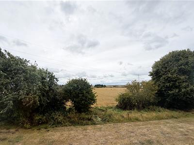 Picture 19